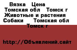 Вязка › Цена ­ 1 500 - Томская обл., Томск г. Животные и растения » Собаки   . Томская обл.,Томск г.